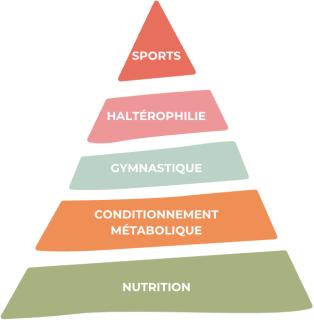Development pyramid — Wodball guide.