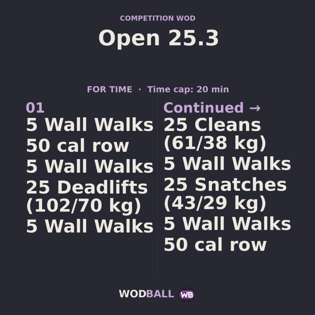 Open 25.3 — Wodball training resource.
